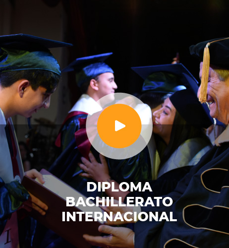 btn_diploma_BI