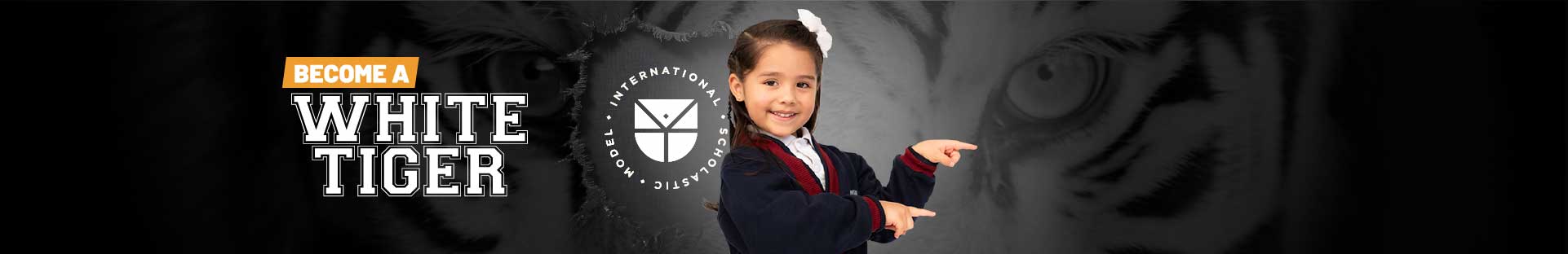 Ban-inter-tiger-Info