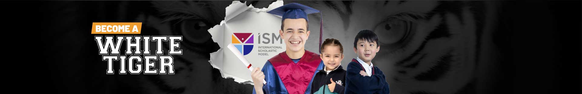 Ban-inter-tiger-Precio