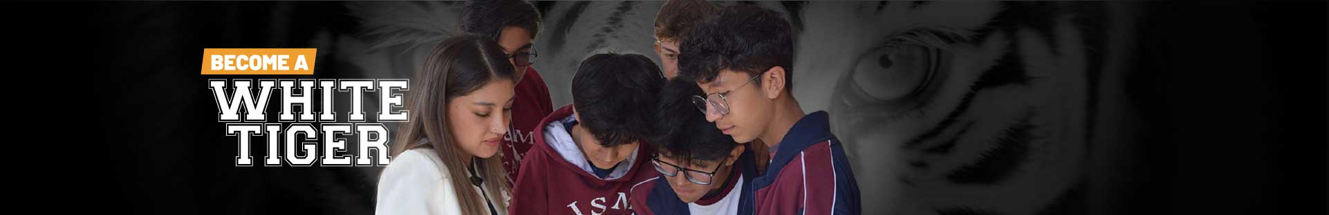 Ban-inter-tiger-Preg