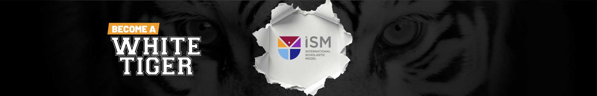 Ban-inter-tiger-proc