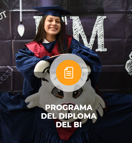 btn_programa_diproma_bi
